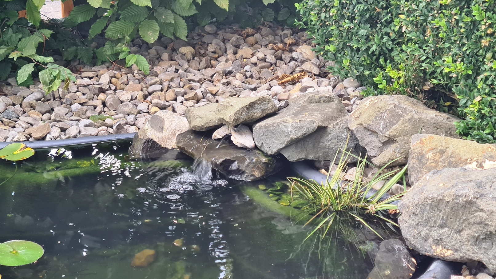 Wasserspiel im Teich über Alexa und Bewegungsmelder steuern Steuer
