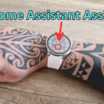Galaxy Watch 6 – Home Assistant / Assist & Nuki App